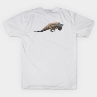 Love Iguanas T-Shirt